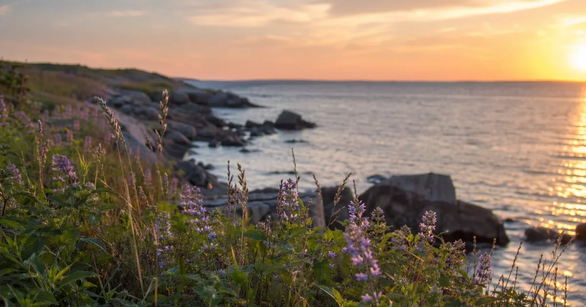 Rhode Island area scenery